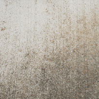 Grunge Concrete Texture 908